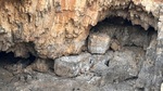 IMG_0810.jpeg