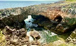 IMG_0840.jpeg