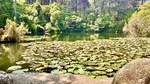 IMG_0969.jpeg