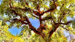 IMG_0973.jpeg