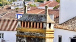 IMG_1021.jpeg