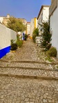 IMG_1080.jpeg