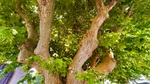 IMG_1089.jpeg