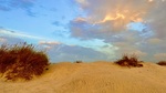 IMG_1315.jpeg