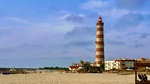 IMG_1303.jpeg