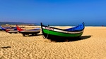 IMG_1203.jpeg