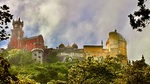 IMG_0903.jpeg